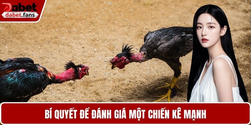 Bí quyết để đánh giá một chiến kê mạnh