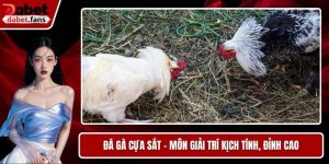 Đá Gà Cựa Sắt