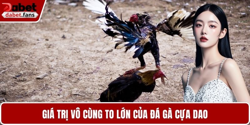 Giá trị vô cùng to lớn của đá gà cựa dao